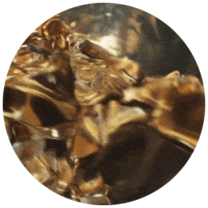 active-circle-first.gif