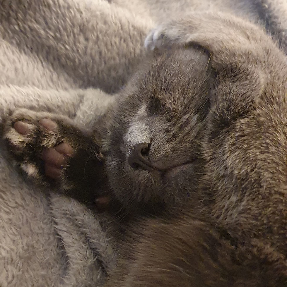 A challenge for 2026