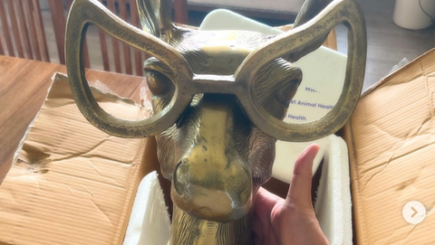 Smoking deer with glasses
