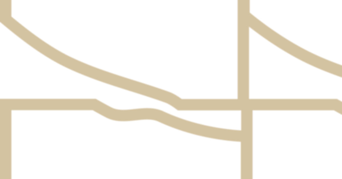 STY_web caro_1200x630px.jpg