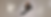 Site (4).png