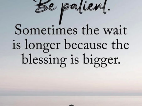 Purpose in the Pause