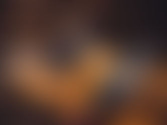 Van in het vel tot op het bord