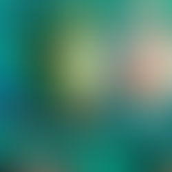 Discover the Mesoamerican Reef: Cozumel’s Secret to World-Class Fishing and Snorkeling