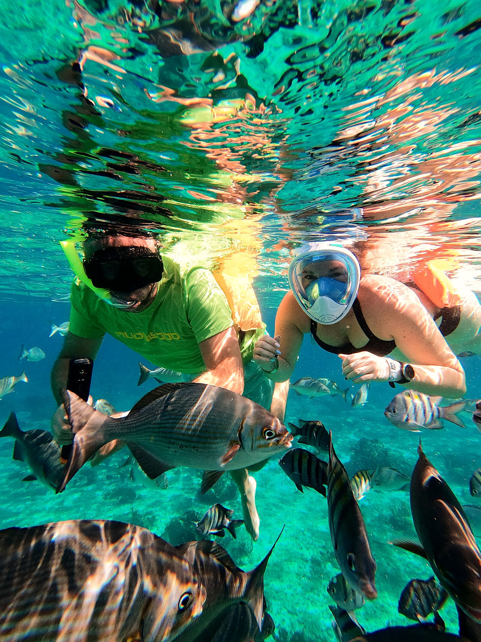 A couple of snorkelers swimming with fish rs snorkel tour.on a Cozumel Anglers private sl tour in Cozumel.