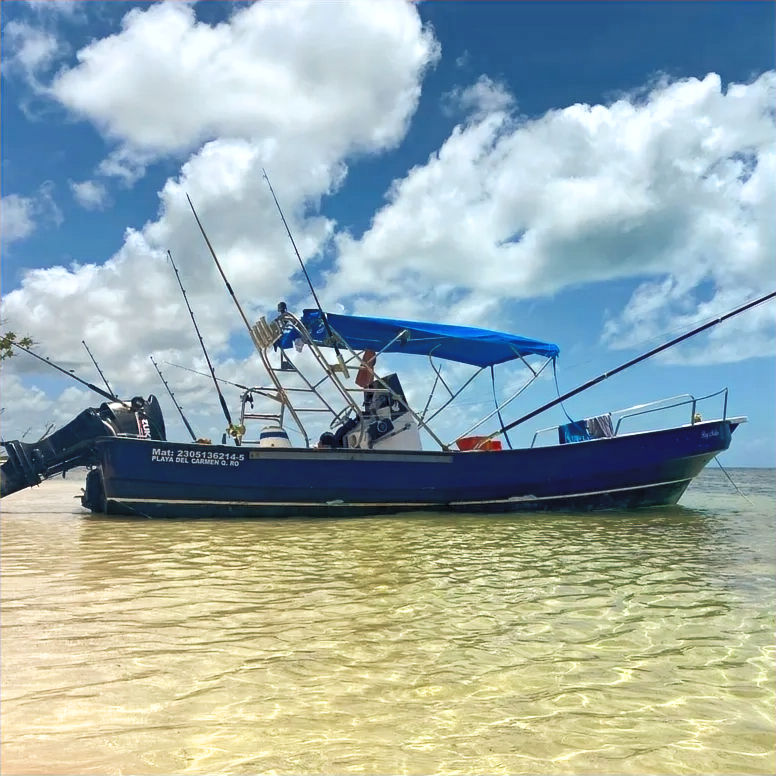 Imensa Economy Size for private fishing and snorkeling charters in Playa del Carmen, Mexico.