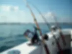 Premium saltwater fishing rods and deep sea fishing gear rigged on a private charter boat
