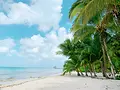 Cozumel-Anglers-Cozumel-Location.webp