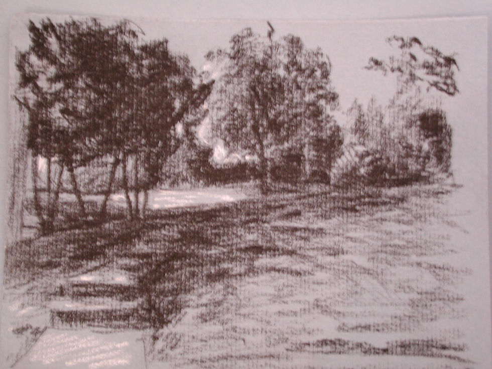 Landscape 4.JPG