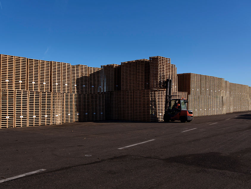 Archimbaud palette-4203.jpg