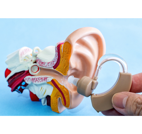 A Beginner's Guide to Hearing Aids: Enhancing Life's Symphony