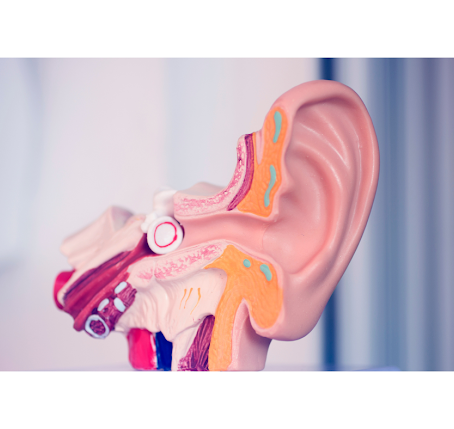 Understanding Hearing Loss: Causes, Symptoms, and Diagnosis