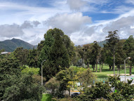 img_7913jpeg