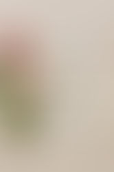 Don’t Ever Stop Praying