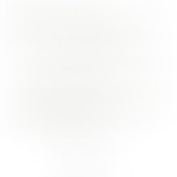 Processo Seletivo - Edital de Errata 07/2017