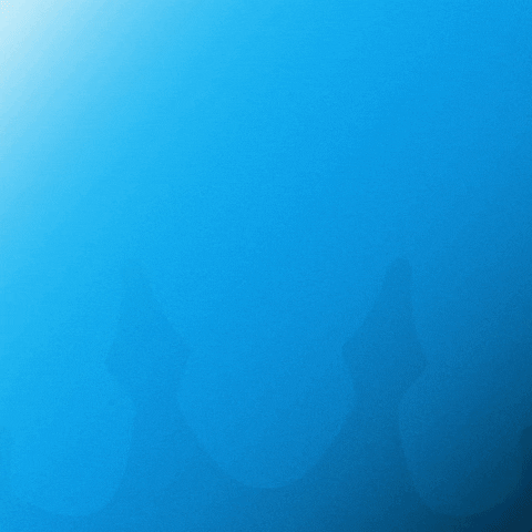 Soccer Mls GIF by CharlotteFC.gif