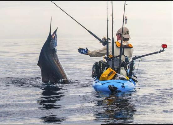 Kayak Fishing Jaco Beach