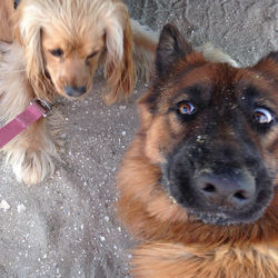 Selfie with Isla & Friend