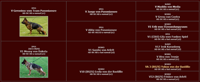 Pedigree of Gambler von der Westkuste German Shepherd Dog