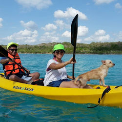 Ellos felices! #AventuraChetumal #petfri