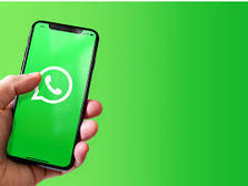 O WhatsApp permite ter duas contas no mesmo celular.