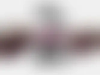 Imagem da campanha sonho de valsa