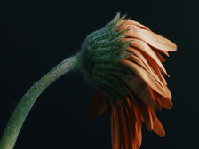 Etarismo na mídia: por que misturar gerações melhora o conteúdo e a audiência