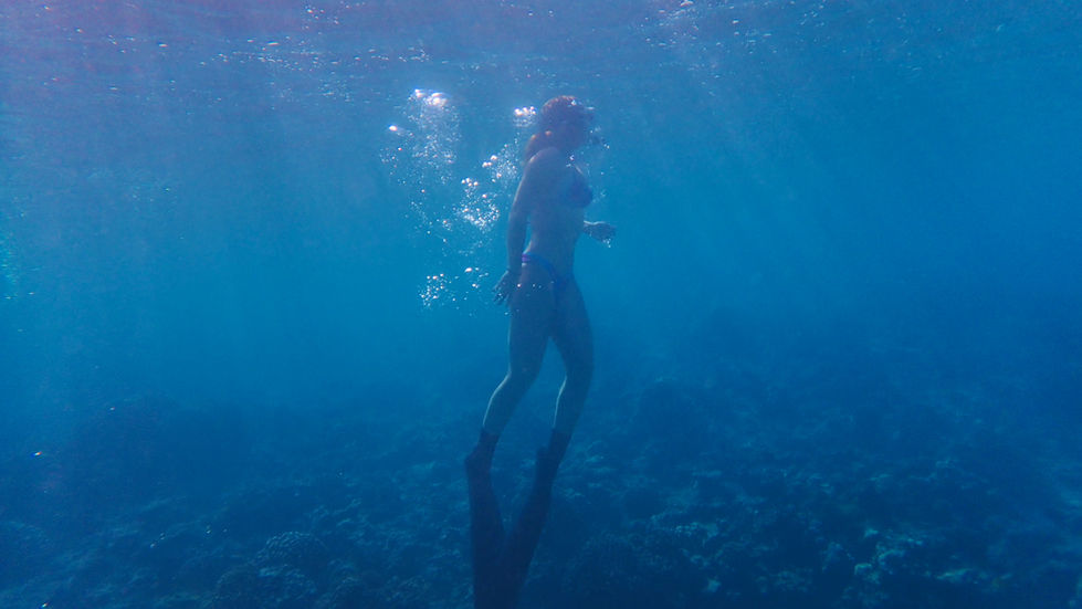 ocean - 3 de 187