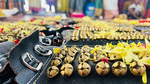 WhatsApp Image 2026-03-26 at 00.28.45.jpeg