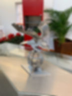 IMG_1146.jpeg