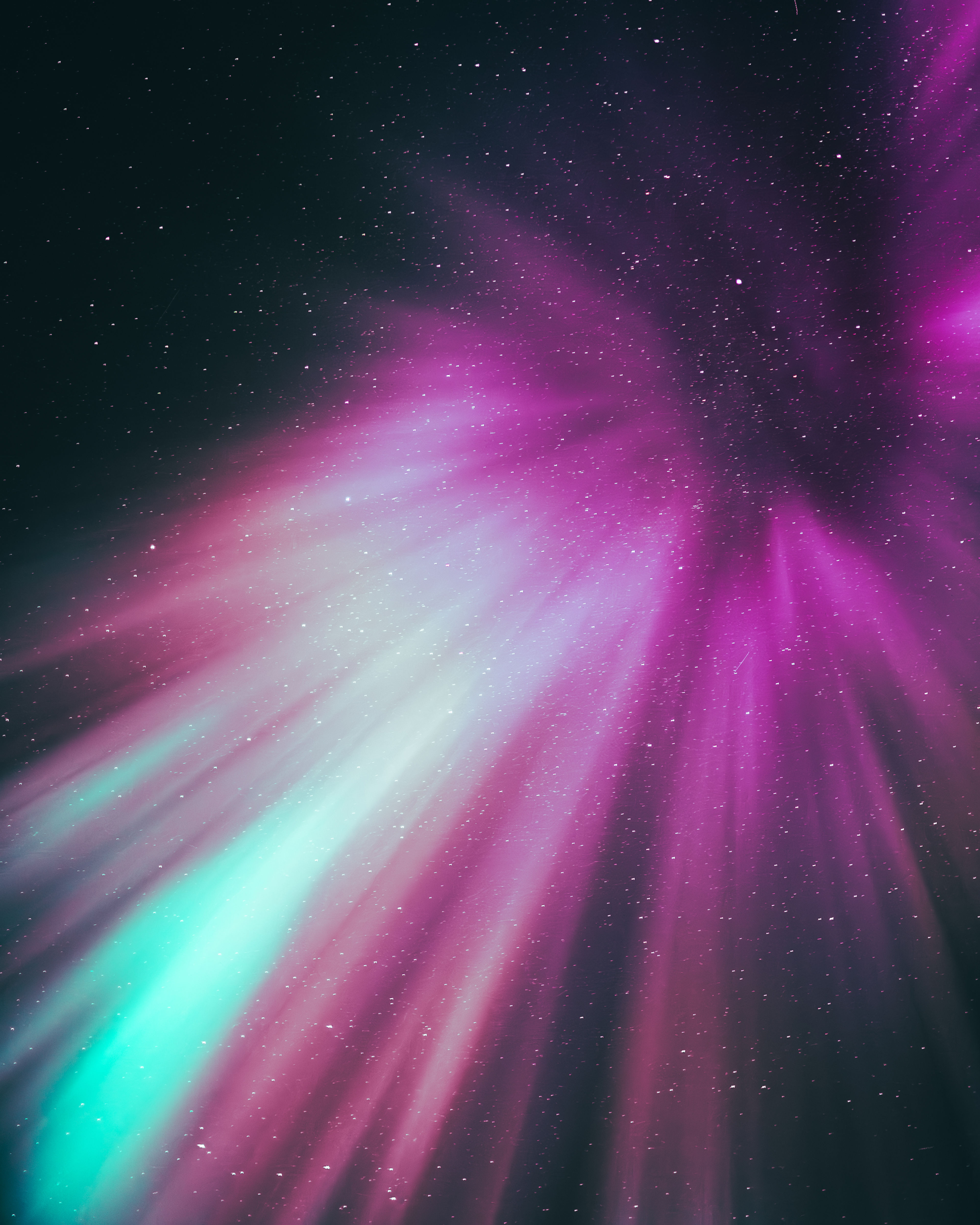 Purple Lights - Digital Photo