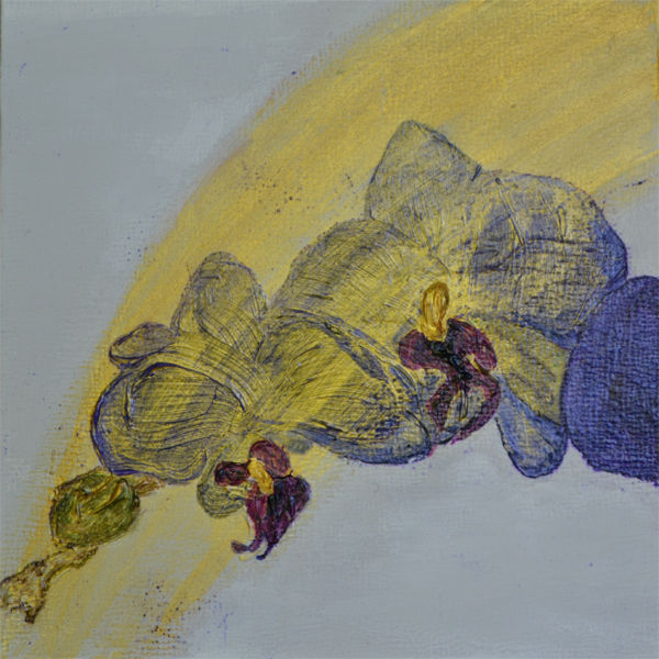 Orchids In Space 2013