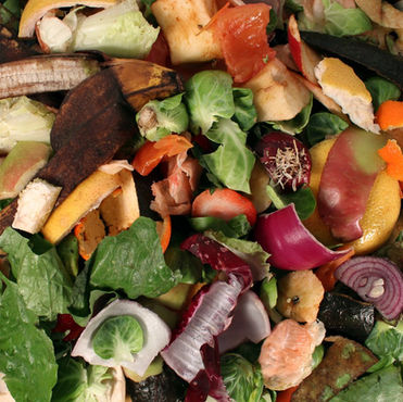 Is Food Waste Really A Problem?