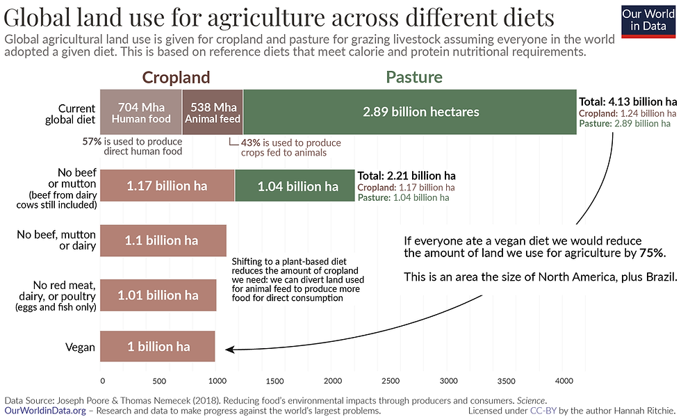 A chart showing how different diets use different amount of land, split between cropland and pasture. The chart show that land use reduces as meat consumption reduces.