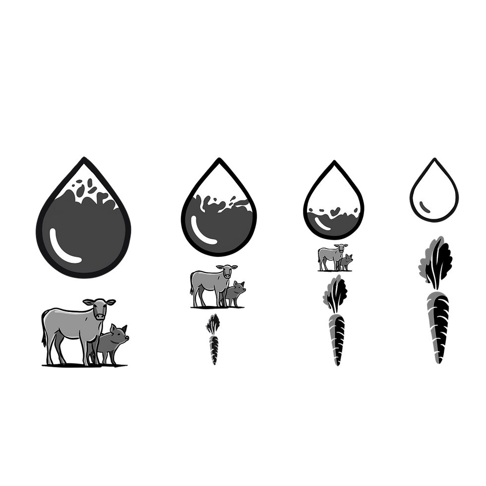 Four water droplets above cows and carrots, each decreasing in size, showing water consumption for beef and crops.