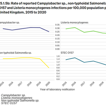 Can Vegans Get Food Poisoning