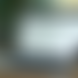 Understanding Carbon Footprint: What It Means for Us and Our Planet