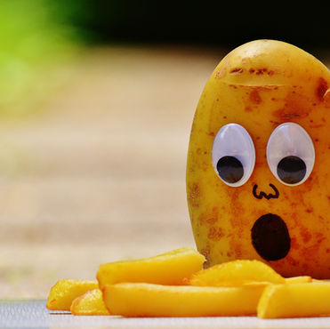 School Lunches for Vegan Kids