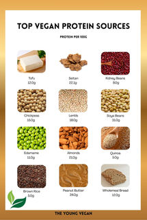 Image of Vegan Protein Download