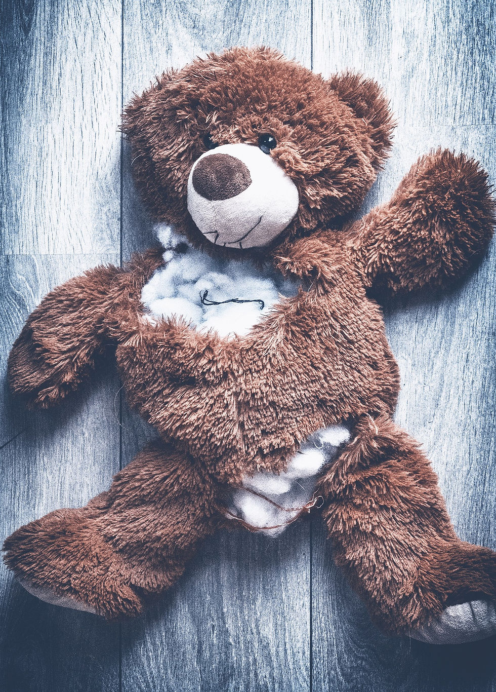 cut up teddy