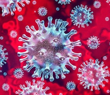 If The World Were Vegan Would Corona Virus Have Happened?