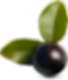 Olives pour salades de Pause Pizza Courpière
