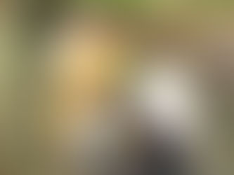 Bonne fête de la sainte théophanie célébration le samedi 10 janvier la rivière du gros morne par le père jean denis église orthodoxe russe saint Gabriel,ainsi que notre communauté de la sainte Trinité