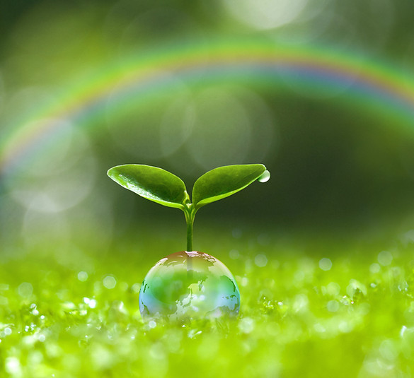 AdobeStock_104263120.jpeg