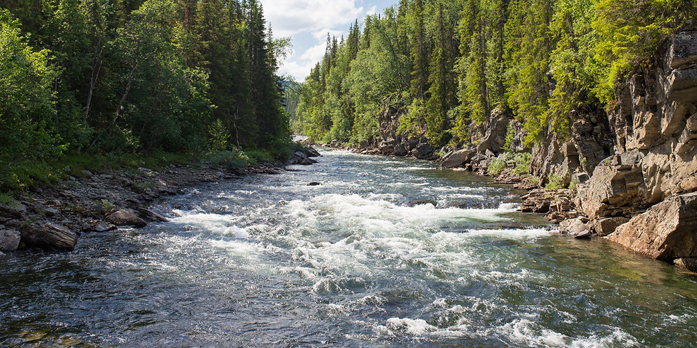 What Does Versatility in Leadership Mean for You?