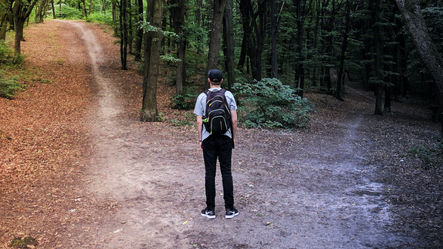 Move Your Team into Quick Decision Making