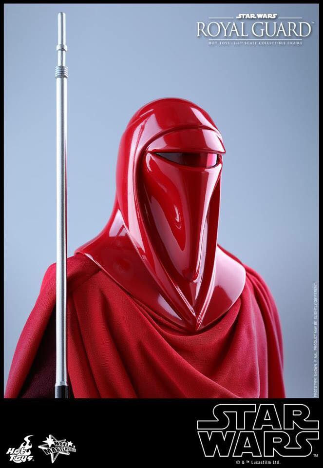 Hot Toys : STAR WARS EPISODE VI RETURN OF THE JEDI ROYAL GUARD