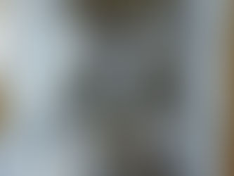 2022年11月1日(容量)