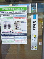 IMG_20231024_111342.jpg