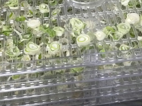 2022年10月30日(備蓄)